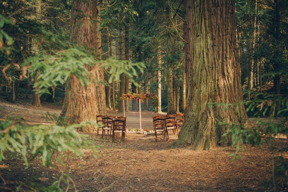 Como diseñar tus invitaciones de boda