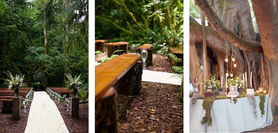 Una boda en el bosque: Sitio