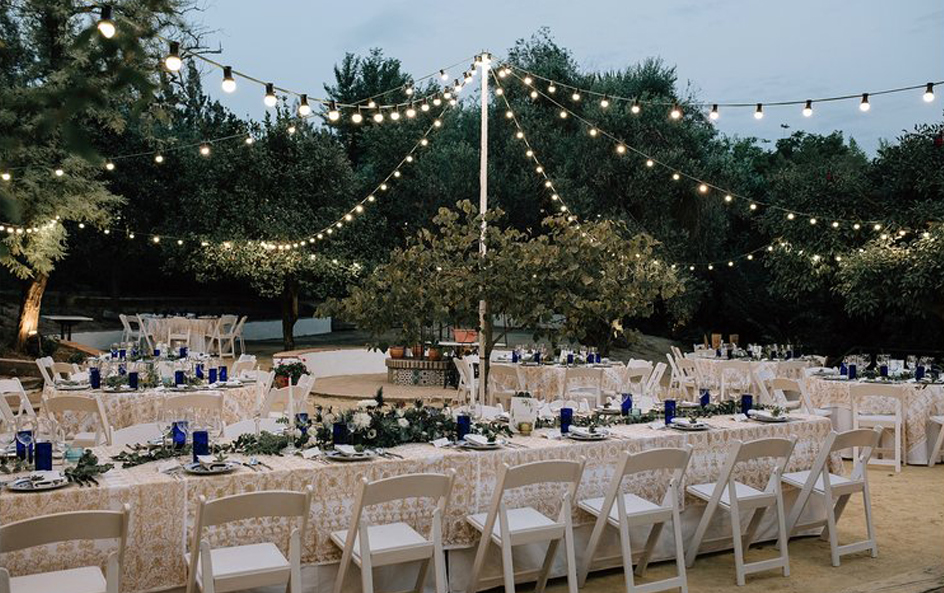 Papelería de boda mediterránea con olivos y eucaliptos en acuarela