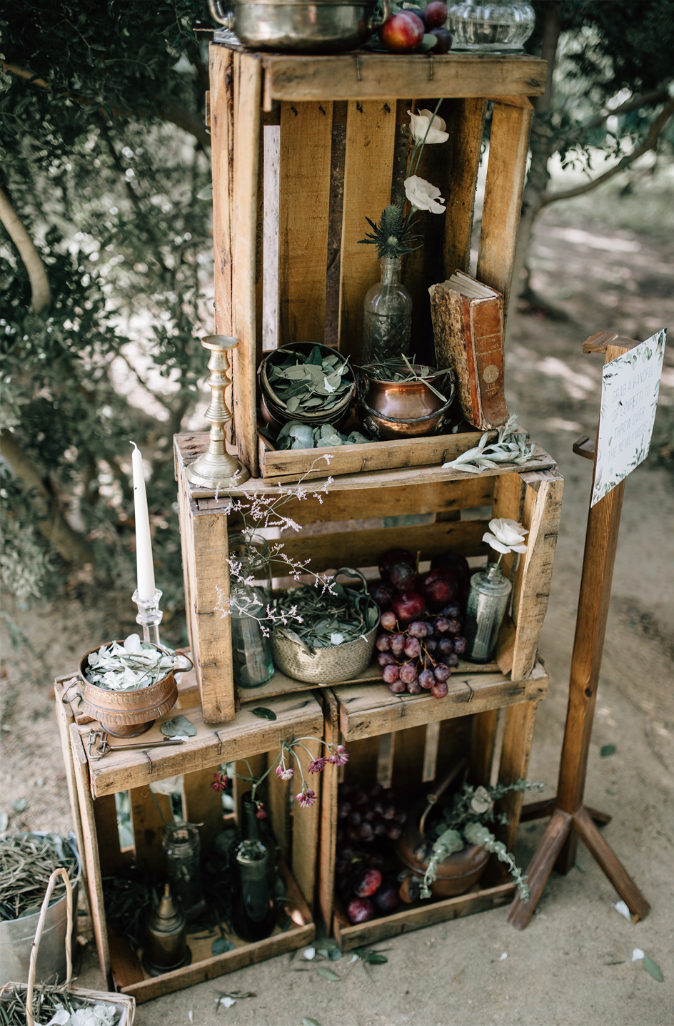 Papelería de boda mediterránea con olivos y eucaliptos en acuarela
